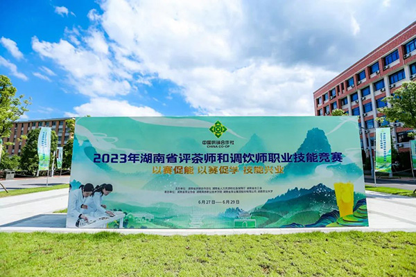 2023年湖南省评茶师和调饮师职业技能竞赛圆满闭幕 省茶业集团喜获佳绩